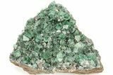 Fluorescent Green Fluorite Cluster - Diana Maria Mine, England #208862-2